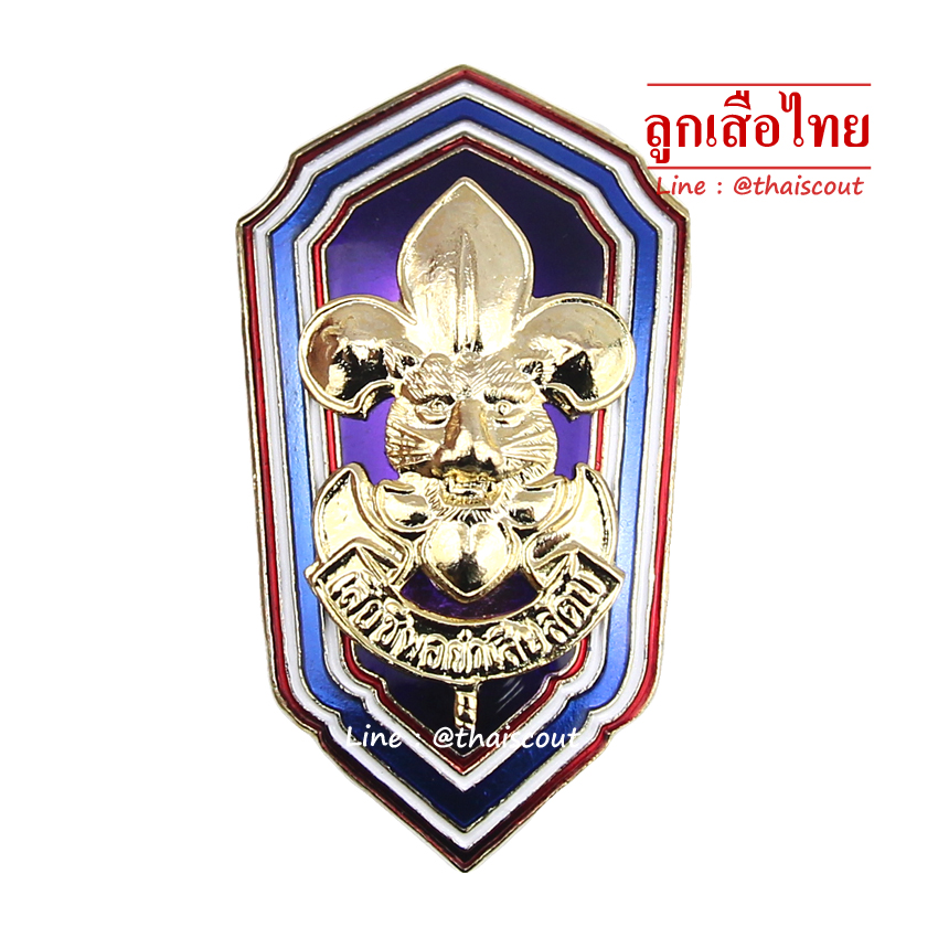 เหรียญเรซิ่น สภานายก, อุปนายก, ผู้ตรวจการ, รองผู้ตรวจการ, ผอ.ใหญ่, รอง ผอ.ใหญ่ (อัน)