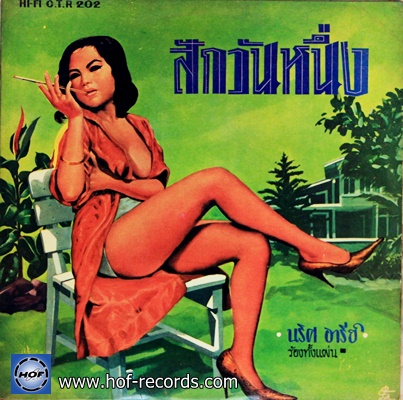 นริศ อารีย์ - สักวันหนึ่ง ปก/ แผ่น NM