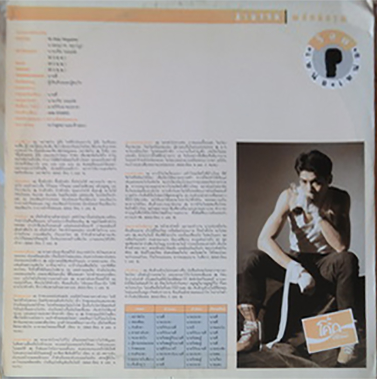 LP สามารถ พยัคฆ์อรุณ ชุด ร๊อคเหน่อ เหน่อ ปกทำใหม่ แผ่น VG++