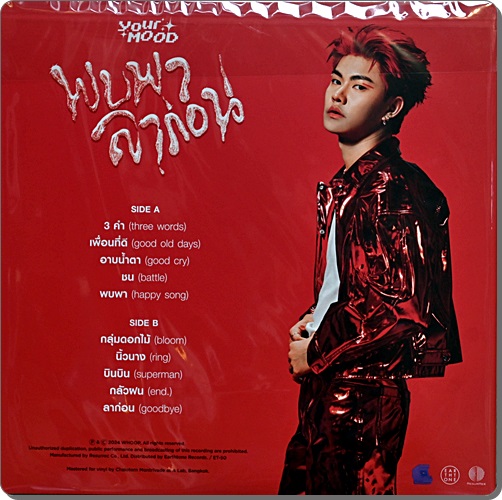 Your Mood - พบพา ลาก่อน 1Lp New