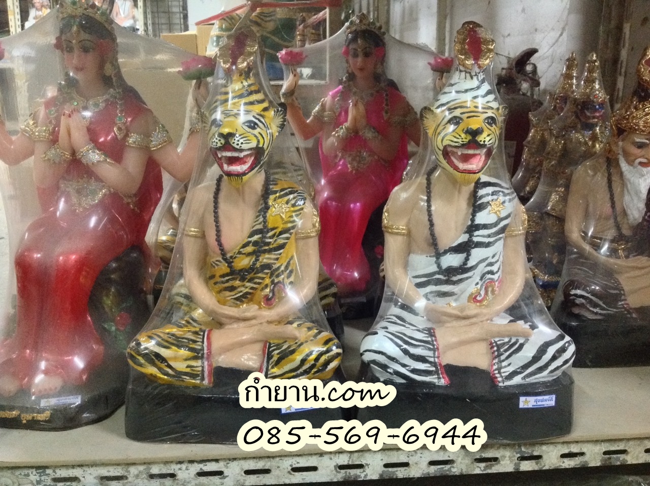 ฤาษีหน้าเสือ 9"