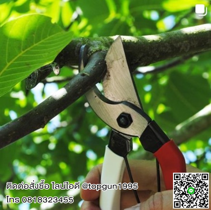 กรรไกรตัดกิ่งไม้ ขาวแดง #103 Okatsune