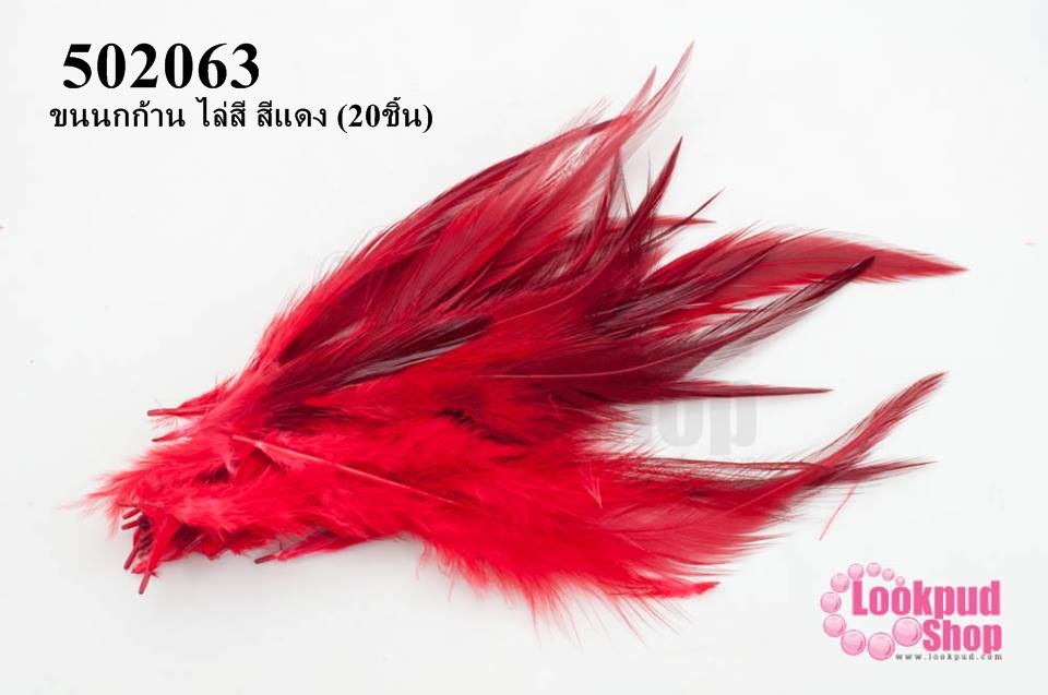 ขนนกก้าน ไล่สี สีแดง (20ชิ้น)