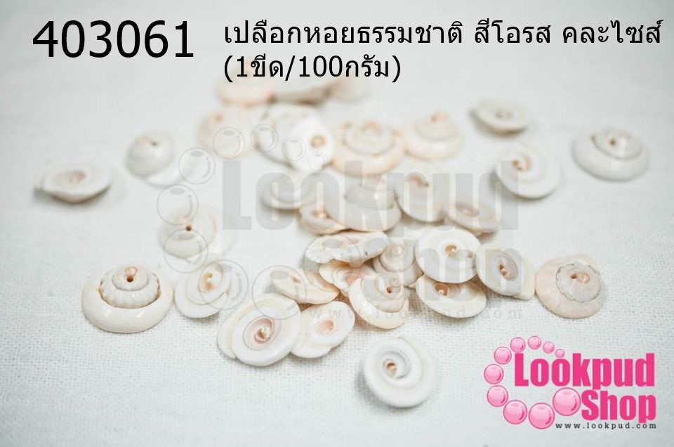 เปลือกหอยธรรมชาติ สีโอรส คละไซส์(1ขีด/100กรัม)