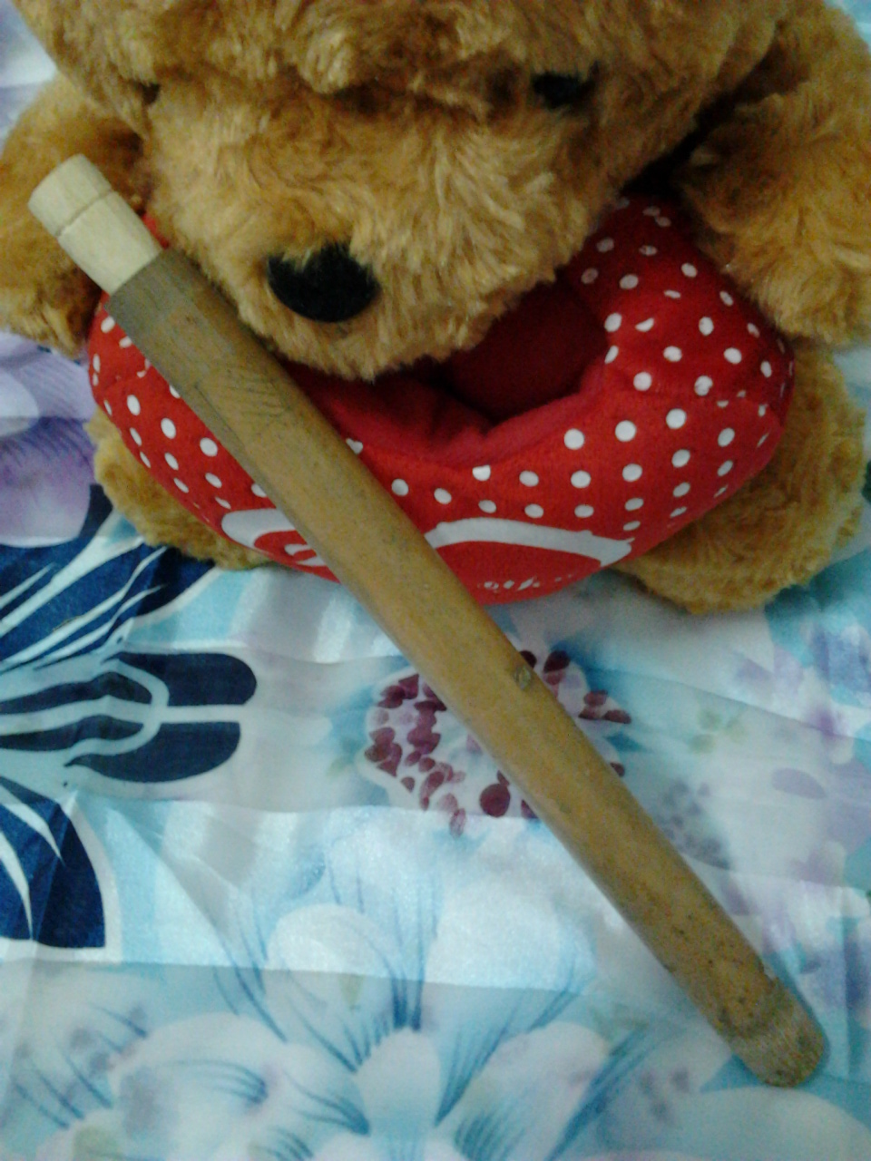 กีต้าร์ปาก ทำจากไม้ไผ่พร้อมกระบอกเก็บ