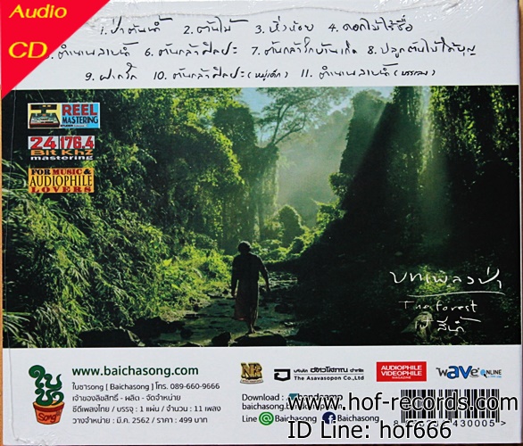 CD เป้ สีน้ำ - บทเพลงป่า The Forest *new