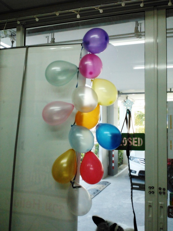 ลูกโป่งกลม เนื้อเมททัลลิก สีม่วงเข้ม ไซส์ 6 นิ้ว แพ็คละ 10 ใบ (Deep Purple Metallic Round Balloon Size 6")