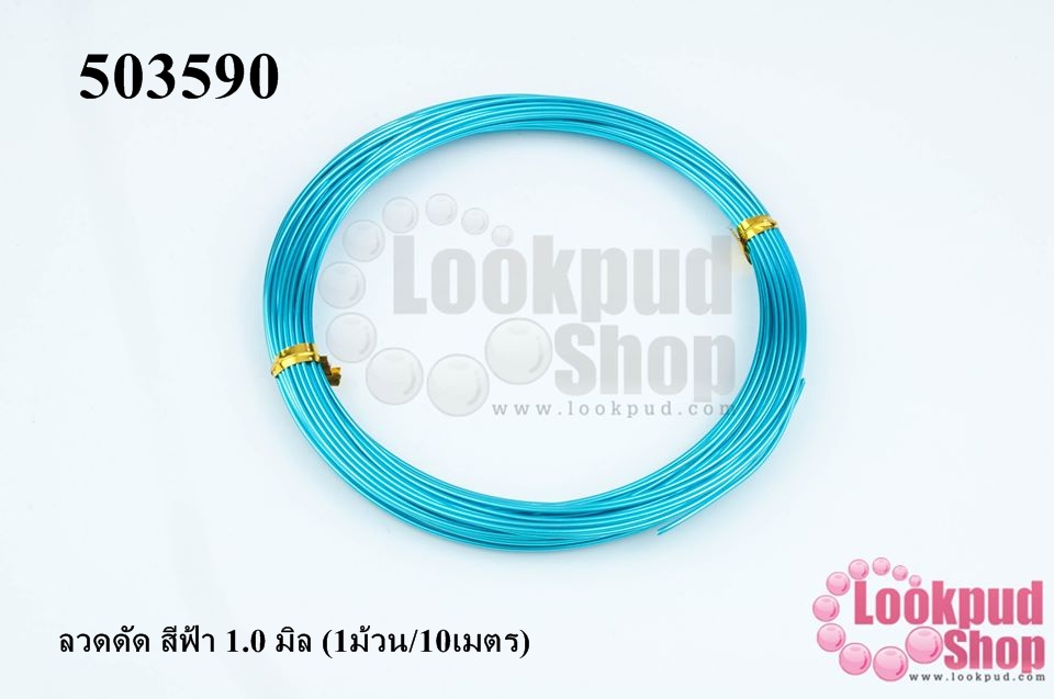 ลวดดัด สีฟ้า 1.0 มิล (1ม้วน/10เมตร)