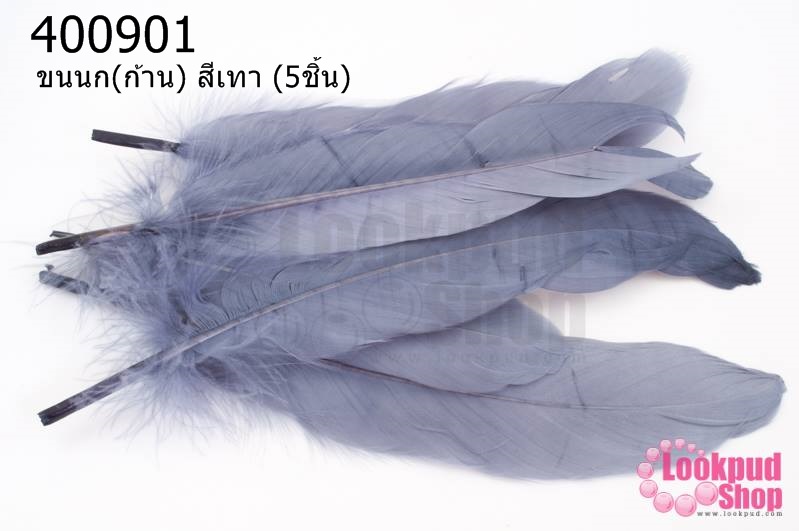 ขนนก(ก้าน) สีเทา (5ชิ้น)