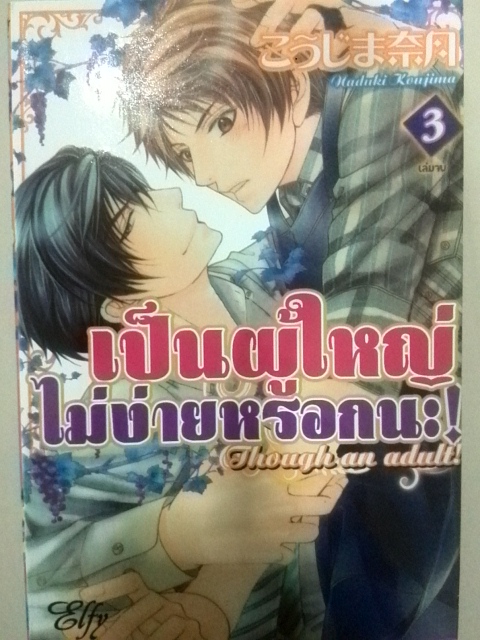 เป็นผู้ใหญ่ไม่ง่ายหรอกนะ (3เล่มจบ)