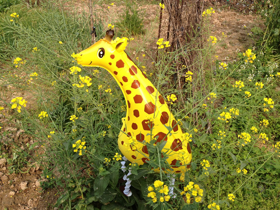 Giraffe Walking Balloons - ยีราฟบอลลูน / Item No. TL-K019