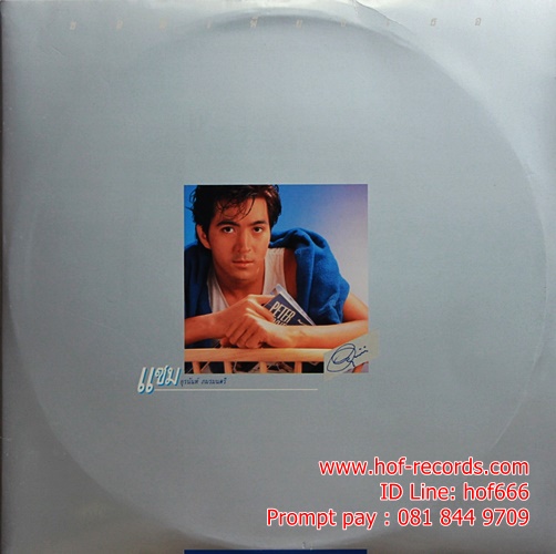 LP แซม ยุรนันท์ ภมรมนตรี 2 LP - ขอมีเพียงเธอ ปก VG++ แผ่น NM