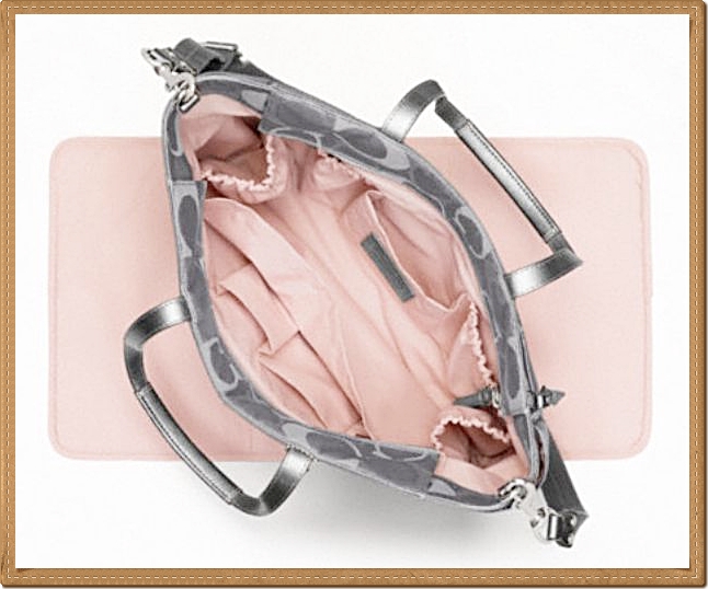 Coach Signature Stripe 3 Color Metallic Multifunction Tote 20425