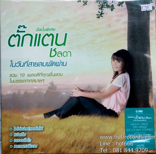 LP ตั๊กแตน ชลดา - ในวันที่สายลมพัดผ่าน * New