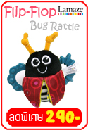 Flip-Flop Bug