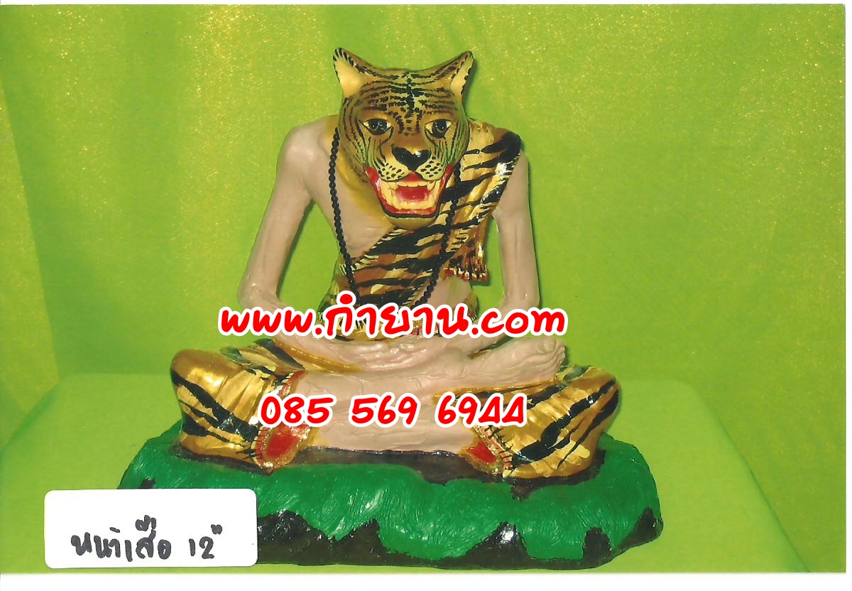 ฤาษีหน้าเสือ 12"