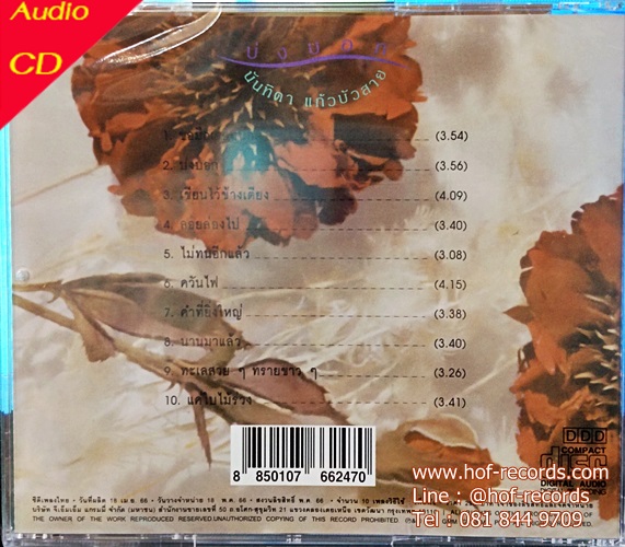 CD นันทิดา แก้วบัวสาย - บ่งบอก ( new Cd ) แผ่นทอง ผลิต 2023