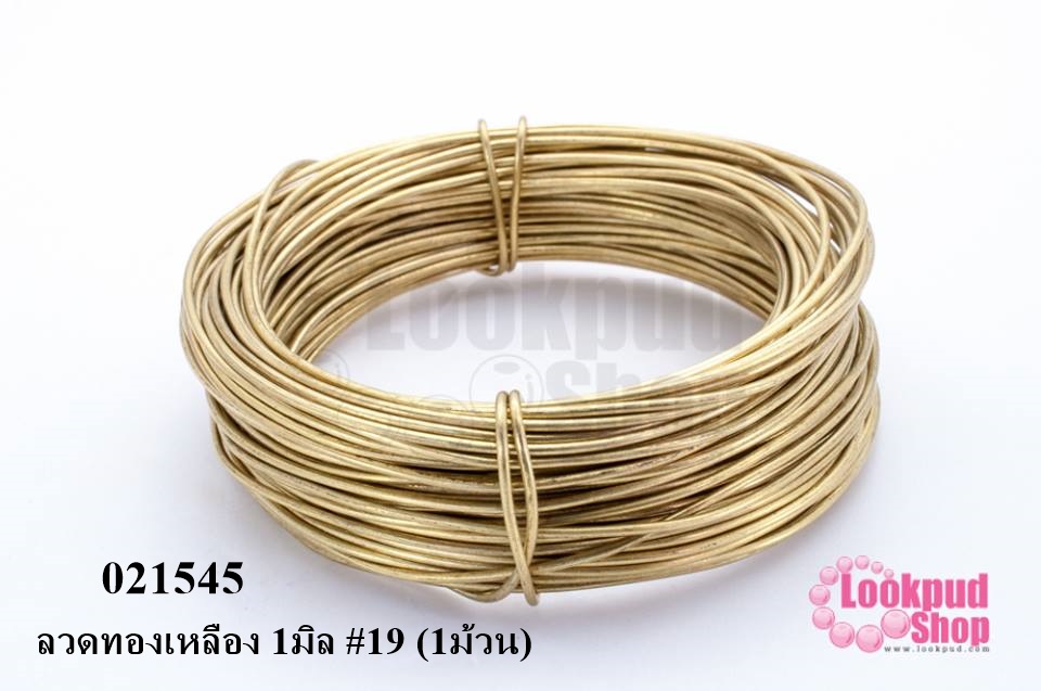 ลวดทองเหลือง 1มิล #19 (1ม้วน)