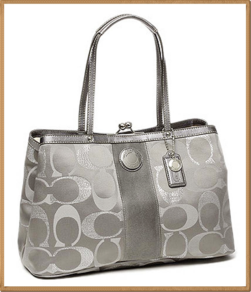 Coach Signature Stripe 3 Color Metallic Framed Carryall 20427