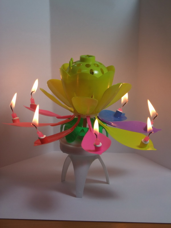 New! เทียนวันเกิดดอกไม้ มีเสียงเพลง-Music HBD Candle/ Item No. TL-N009