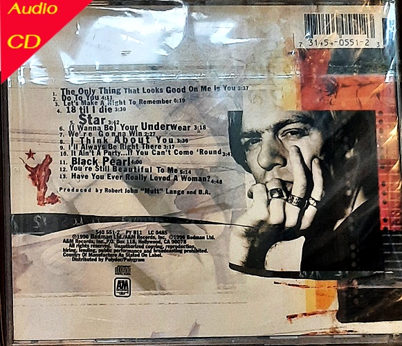 Used CD Bryan Adams - 18 Till I Die ( Used CD )