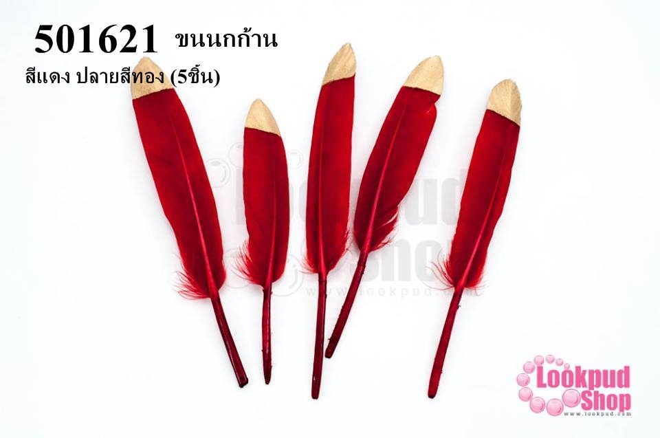 ขนนกก้าน สีแดง ปลายสีทอง (5ชิ้น)