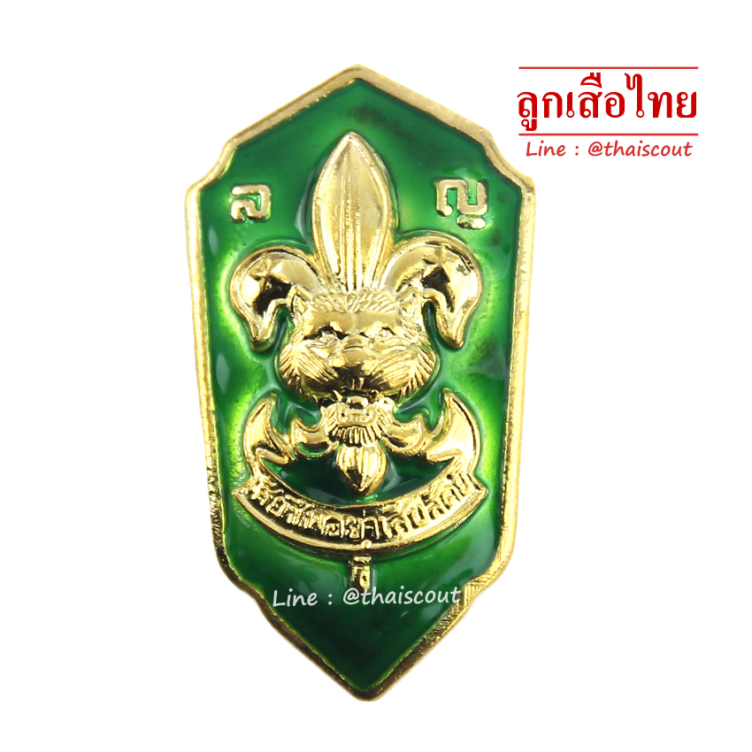 เหรียญเรซิ่น ผู้กำกับลูกเสือสามัญรุ่นใหญ่ (อัน)