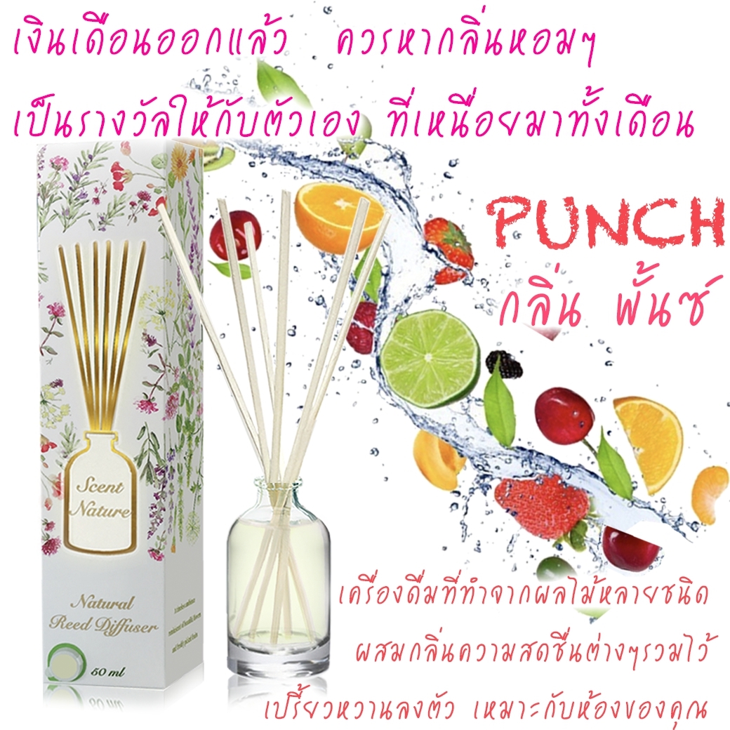 Scentnature ก้านไม้หอมอโรม่าปรับอากาศScentnature กลิ่น Punch