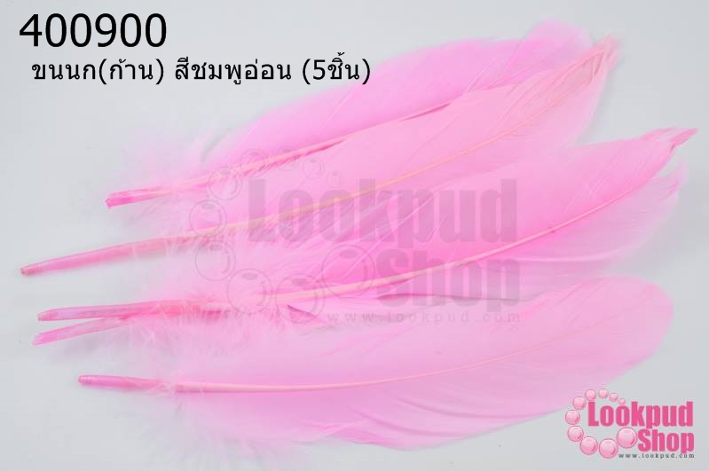 ขนนก(ก้าน) สีชมพูอ่อน (5ชิ้น)