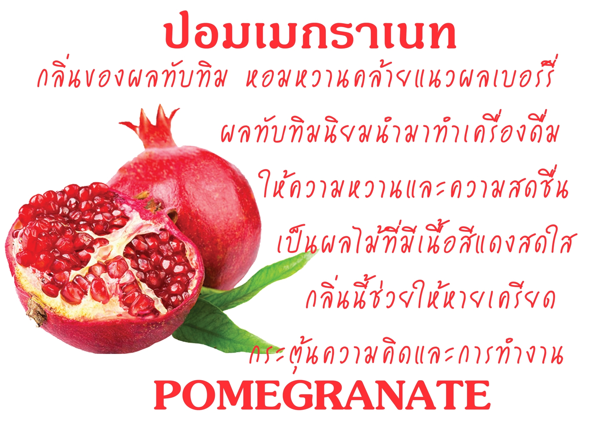 Scentnature ก้านไม้หอมอโรม่าปรับอากาศScentnature กลิ่น Pomegranate