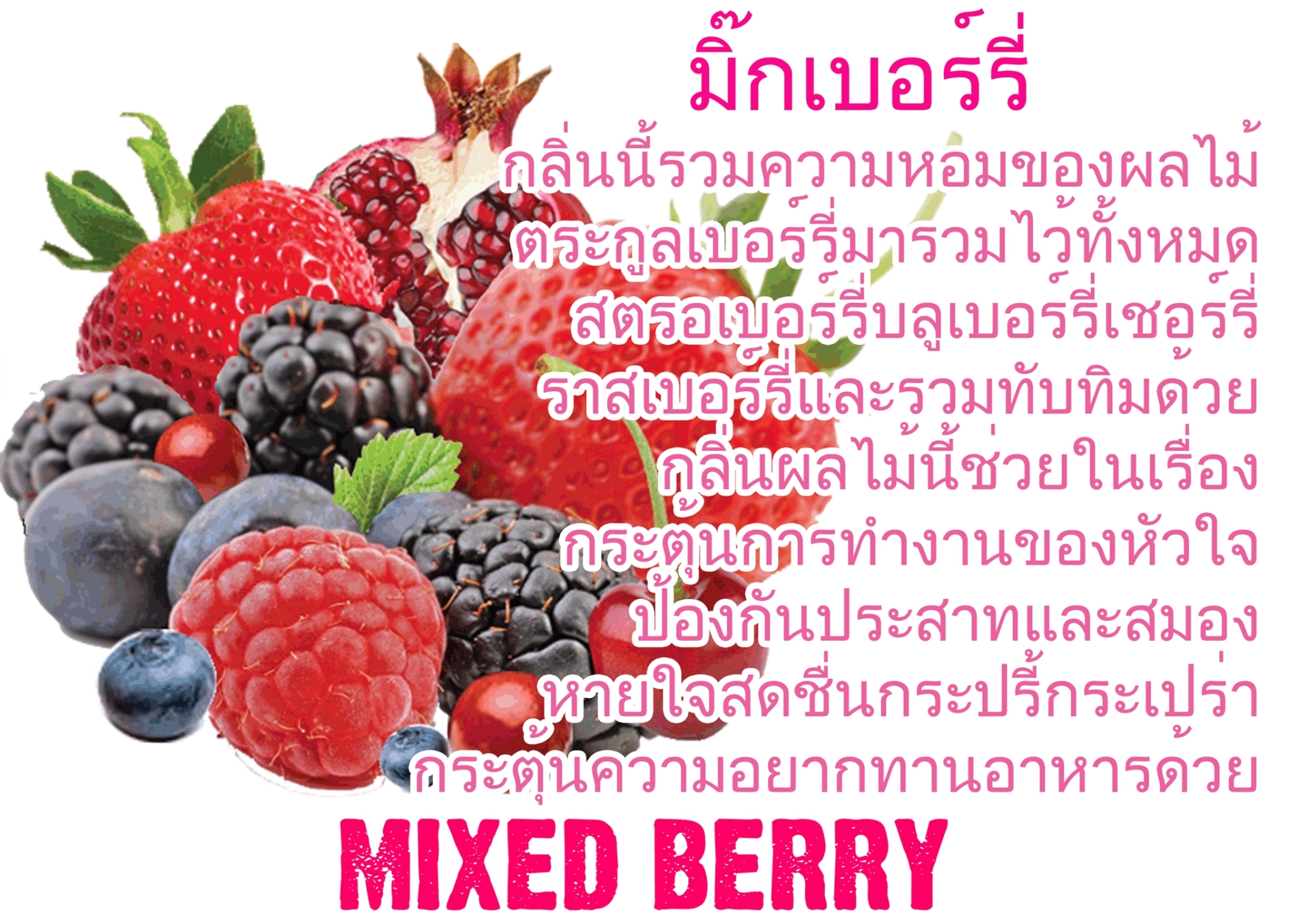 Scentnature ก้านไม้หอมอโรม่าปรับอากาศScentnature กลิ่น Mixed Berry