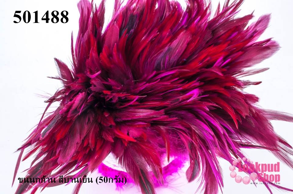 ขนนกก้าน สีบานเย็น (50กรัม)