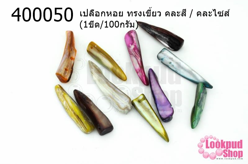 เปลือกหอย ทรงเขี้ยว คละสี / คละไซส์(1ขีด/100กรัม)