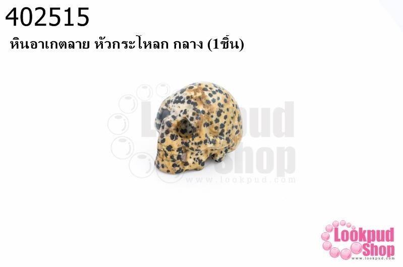 หินอาเกตลาย หัวกระโหลก กลาง (1ชิ้น)