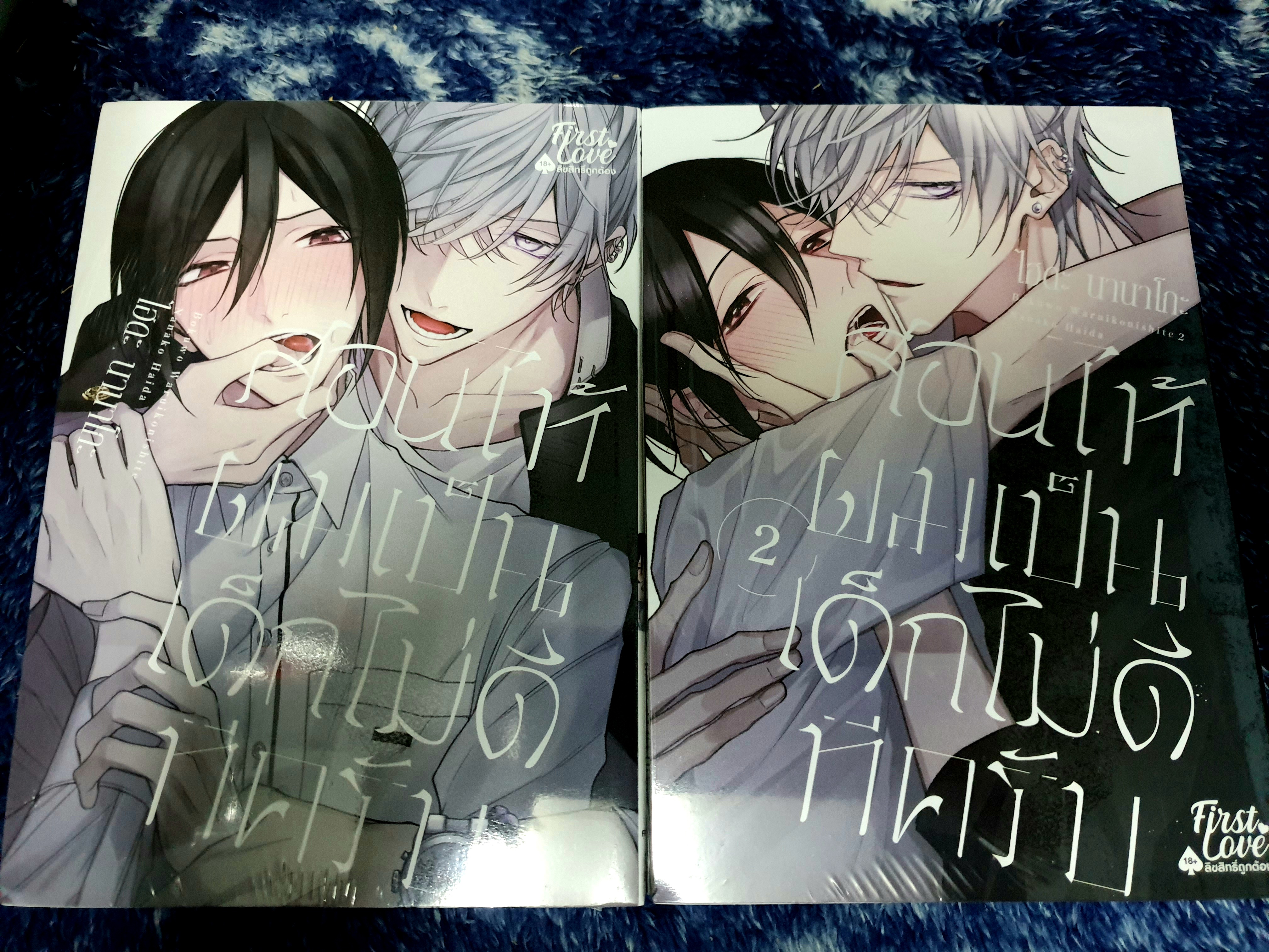 [การ์ตูนวายในซีล] " สอนให้ผมเป็นเด็กไม่ดีทีครับ (1-2เล่มจบ) " โดย HAIDA nanako