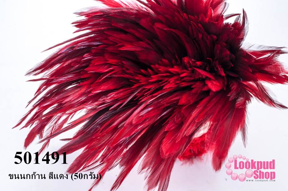 ขนนกก้าน สีแดง (50กรัม)