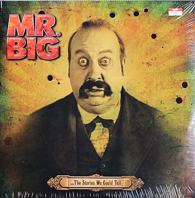 MR. BIG - The Stories We Could Tell 2lp N.