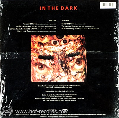 Grateful Dead - In The Dark 1lp
