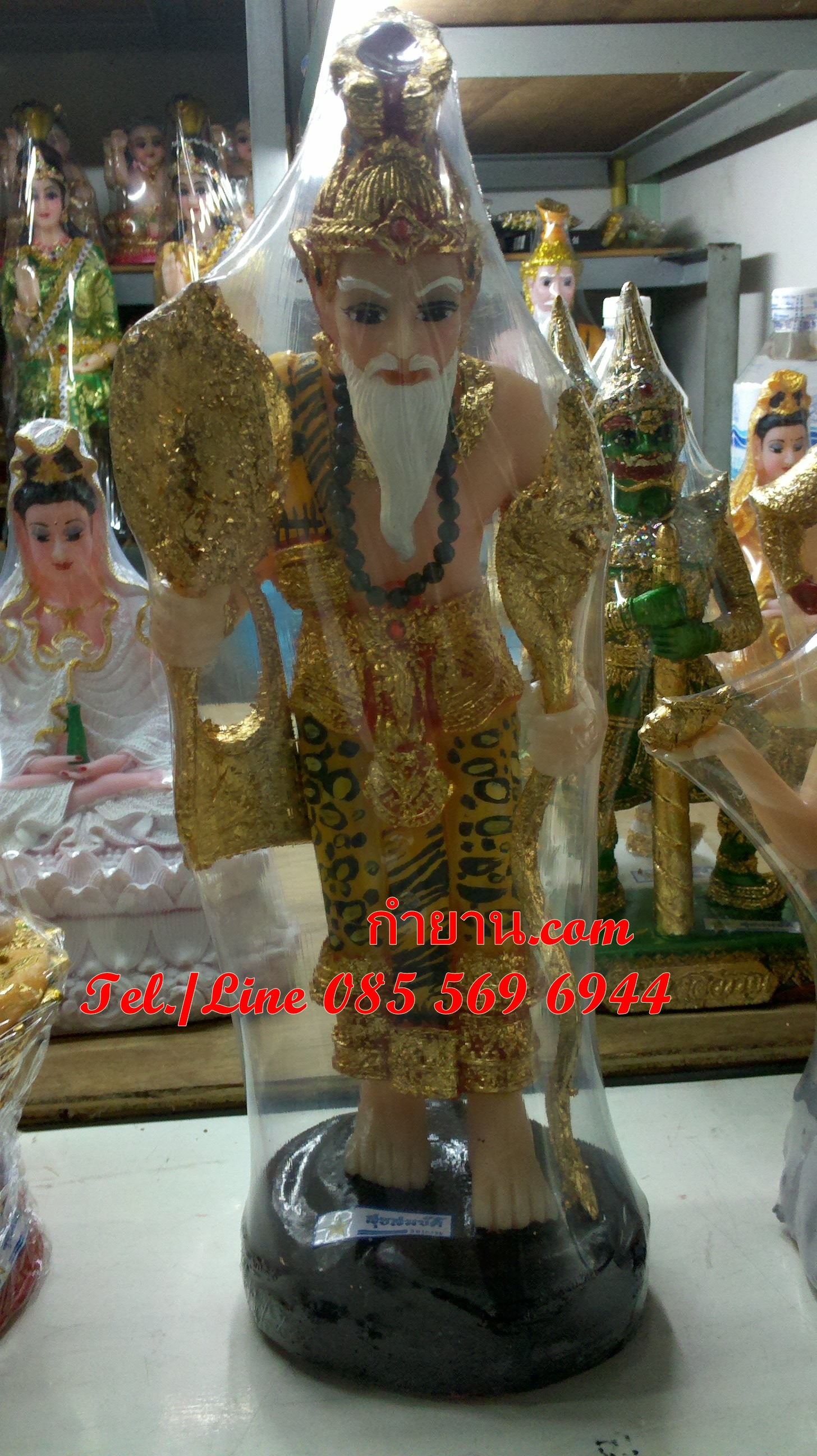 ฤาษียืน 5" สวย