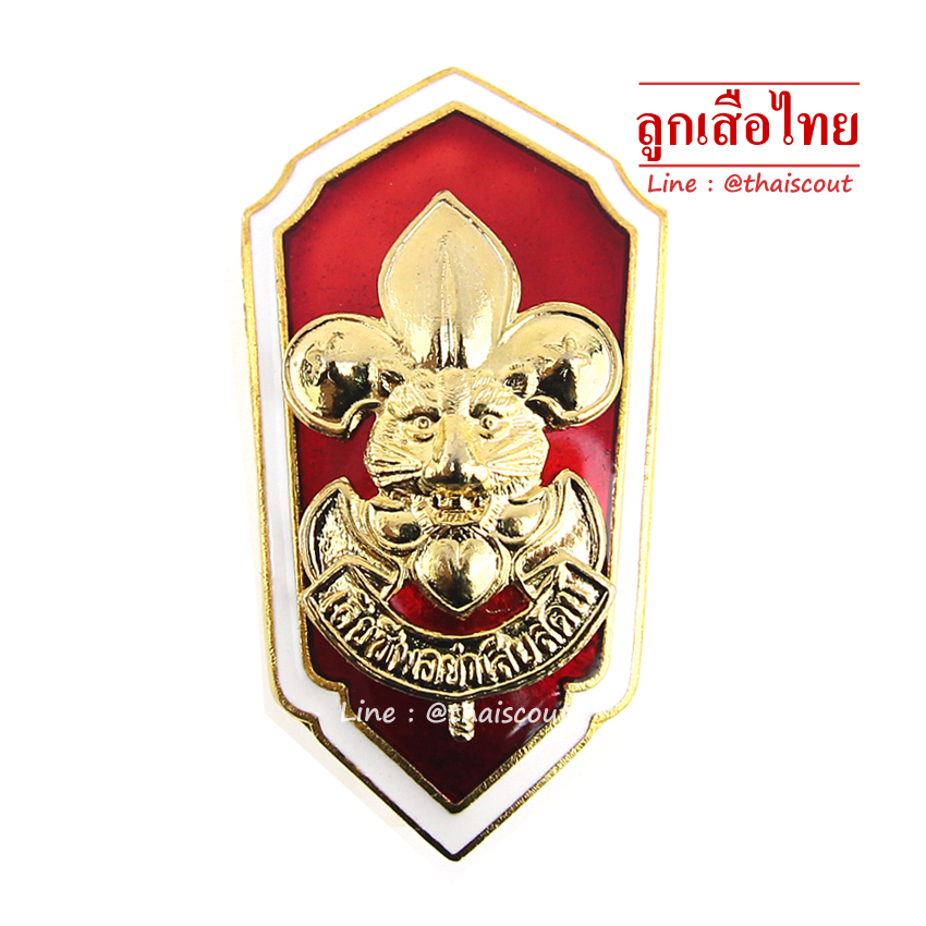 เหรียญเรซิ่น รองผู้กำกับกลุ่มโรงเรียน (อัน)