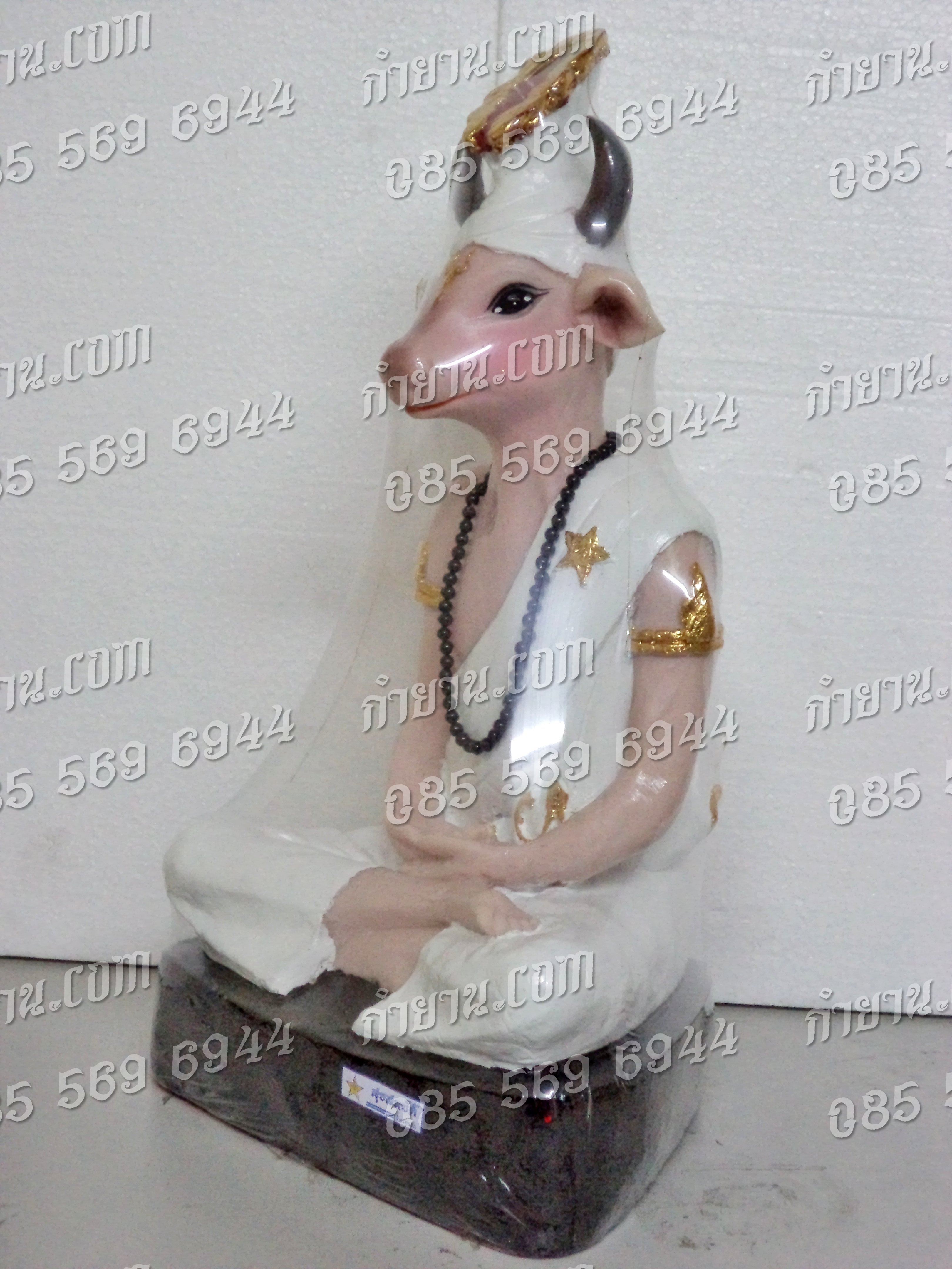 ฤาษีหน้าวัว 9"