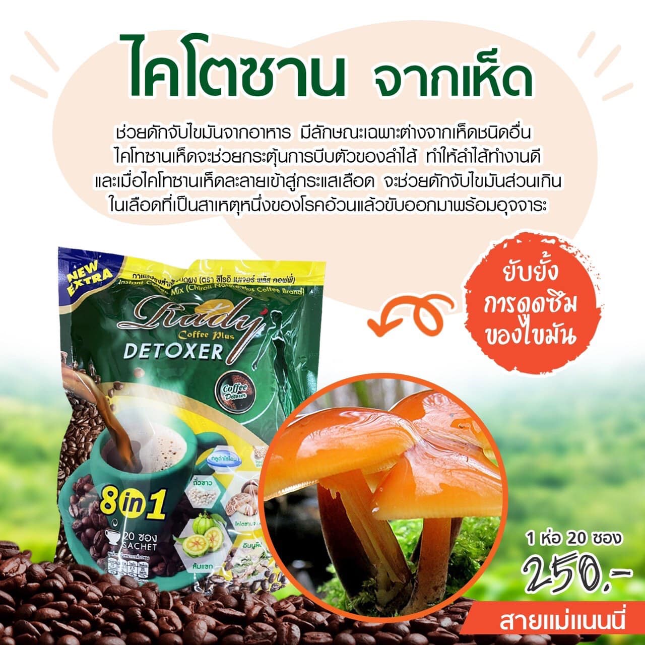 เรดี้คอฟฟี่พลัสดีท็อก ชิโอริ เนเจอร์ พลัส คอฟฟี่ Rady Coffee Plus Detoxer Chiroii Nature Plus Coffee