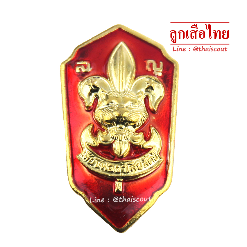 เหรียญเรซิ่น รองผู้กำกับลูกเสือสามัญรุ่นใหญ่ (อัน)