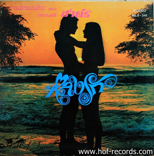 วง ชาตรี ชุด หลงรัก - ป่าแสม โดย ชาตรี ปก VG++แผ่น VG ++