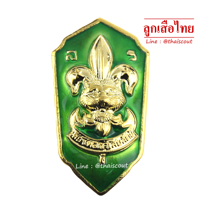 เหรียญเรซิ่น ผู้กำกับลูกเสือสำรอง (อัน)