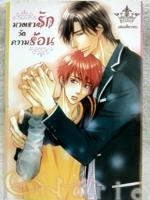 มาตรารักวัดความร้อน (เล่มเดียวจบ)