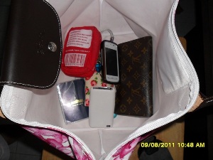 ช่องจัดระเบียบกระเป๋า longchamp size M