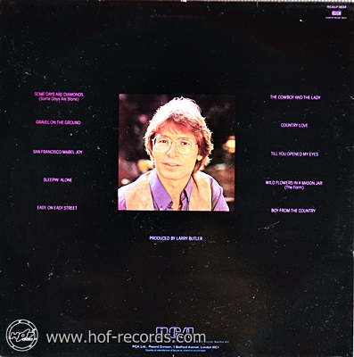 John Denver - Some Days Are Diamonds 1981 1lp
