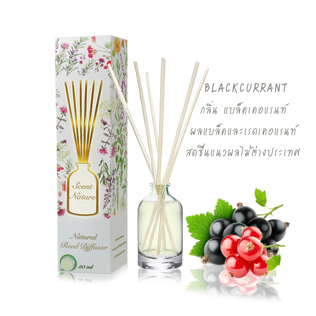 Scentnature ก้านไม้หอมอโรม่าปรับอากาศScentnature กลิ่น Blackcurrant