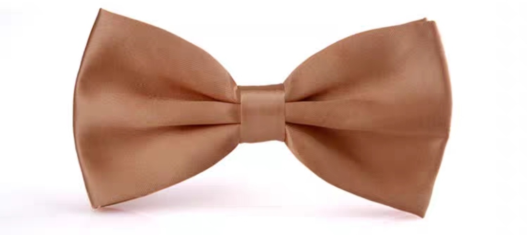 โบว์หูกระต่ายแฟชั่นสีล้วน จีบ2